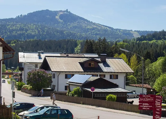 Treml Bayerisch Eisenstein
